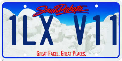 SD license plate 1LXV11
