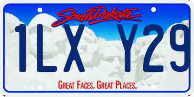 SD license plate 1LXY29