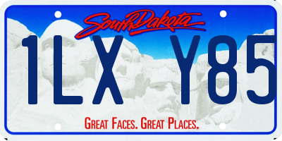 SD license plate 1LXY85