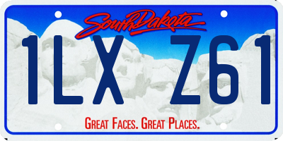 SD license plate 1LXZ61