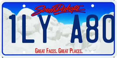 SD license plate 1LYA80