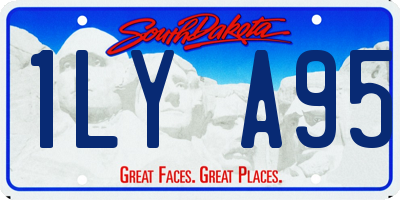 SD license plate 1LYA95