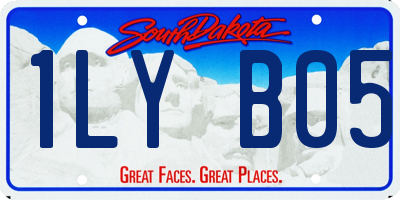SD license plate 1LYB05