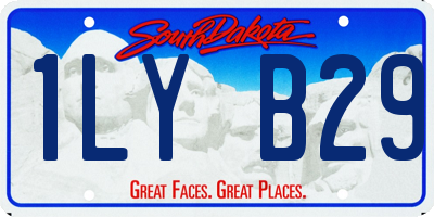 SD license plate 1LYB29
