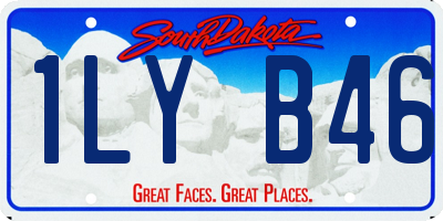 SD license plate 1LYB46
