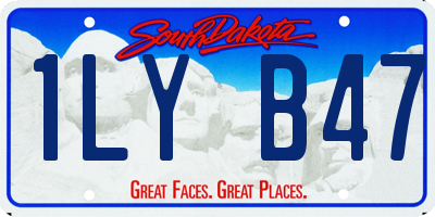 SD license plate 1LYB47