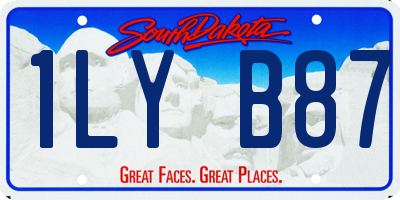 SD license plate 1LYB87