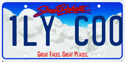 SD license plate 1LYC00