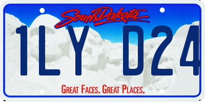 SD license plate 1LYD24