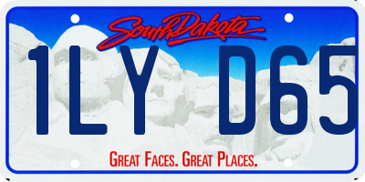 SD license plate 1LYD65