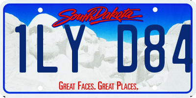 SD license plate 1LYD84
