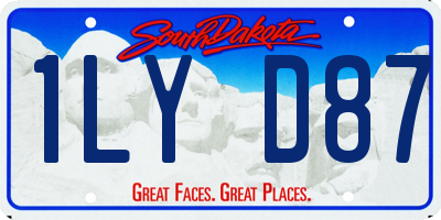 SD license plate 1LYD87