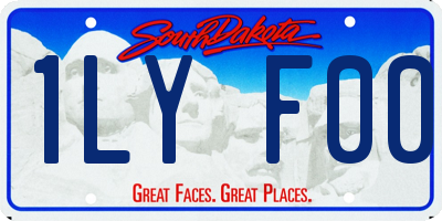 SD license plate 1LYF00