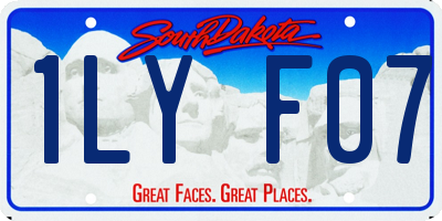SD license plate 1LYF07