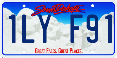 SD license plate 1LYF91