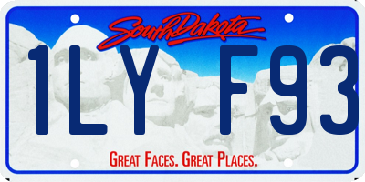 SD license plate 1LYF93