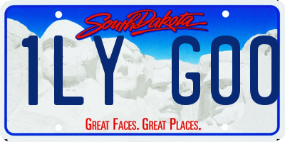 SD license plate 1LYG00