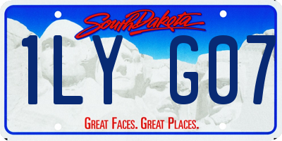 SD license plate 1LYG07