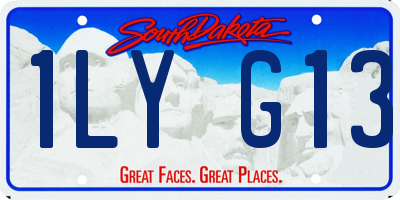 SD license plate 1LYG13