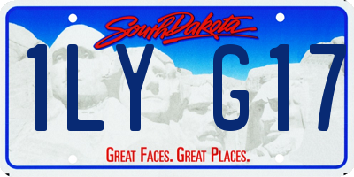SD license plate 1LYG17