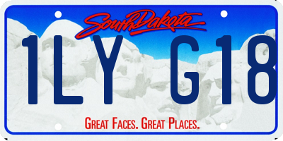 SD license plate 1LYG18