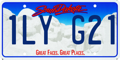 SD license plate 1LYG21