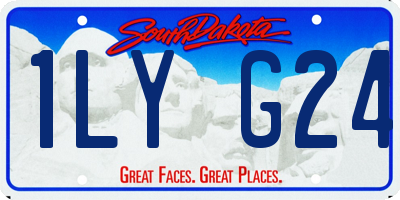 SD license plate 1LYG24