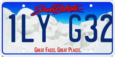 SD license plate 1LYG32