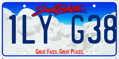 SD license plate 1LYG38