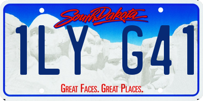 SD license plate 1LYG41