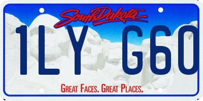 SD license plate 1LYG60