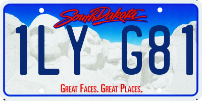 SD license plate 1LYG81