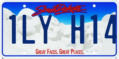 SD license plate 1LYH14