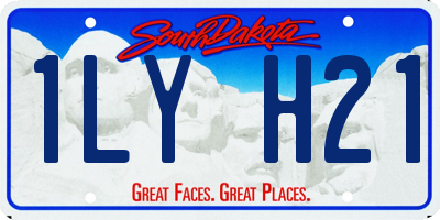 SD license plate 1LYH21