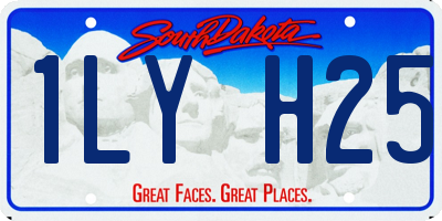 SD license plate 1LYH25