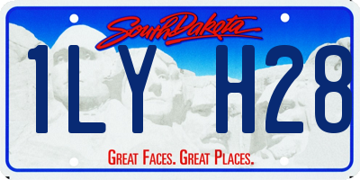 SD license plate 1LYH28