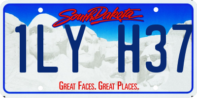 SD license plate 1LYH37