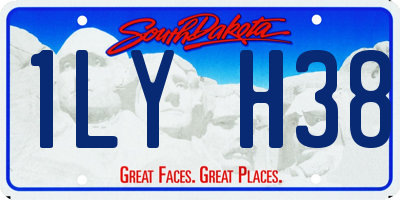 SD license plate 1LYH38