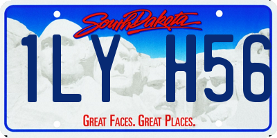 SD license plate 1LYH56