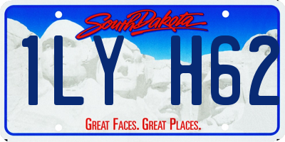 SD license plate 1LYH62