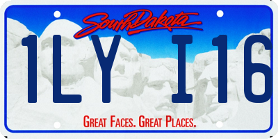 SD license plate 1LYI16