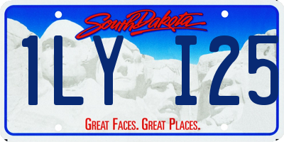 SD license plate 1LYI25