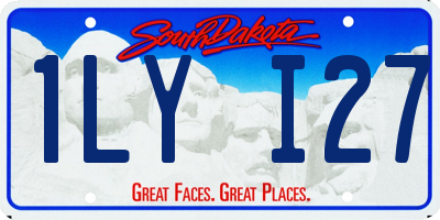 SD license plate 1LYI27