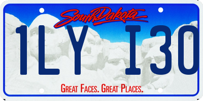 SD license plate 1LYI30