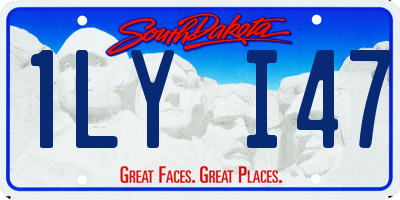 SD license plate 1LYI47
