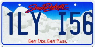 SD license plate 1LYI56