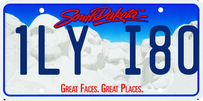 SD license plate 1LYI80