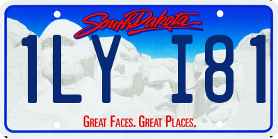 SD license plate 1LYI81