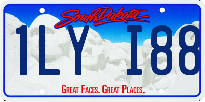 SD license plate 1LYI88