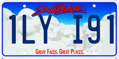 SD license plate 1LYI91